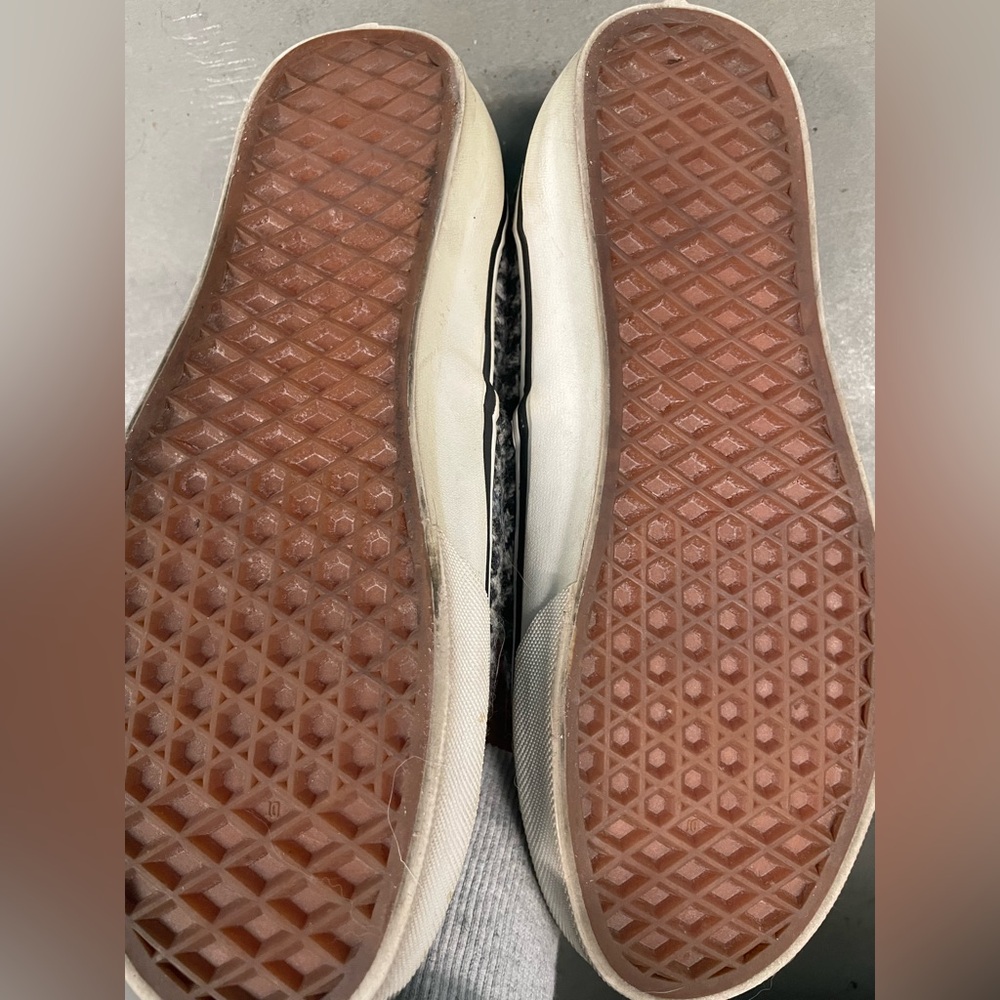 Awesome Vans - Picture 3 of 6